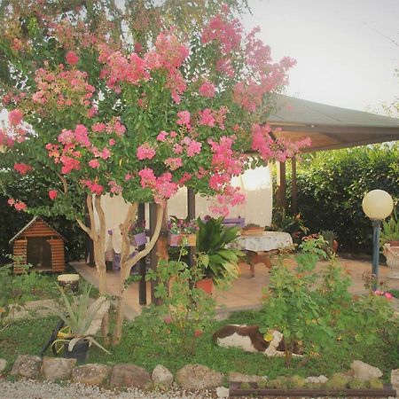 Villino Alle Terme فِتيربو المظهر الخارجي الصورة