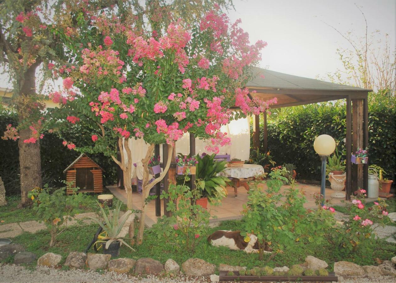 Villino Alle Terme فِتيربو المظهر الخارجي الصورة