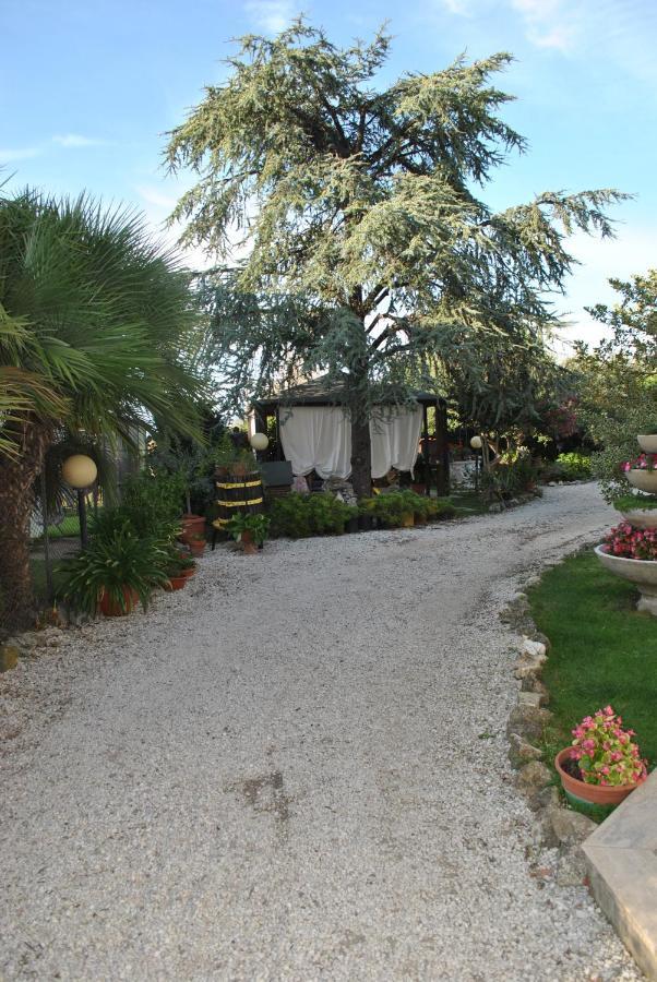 Villino Alle Terme فِتيربو المظهر الخارجي الصورة