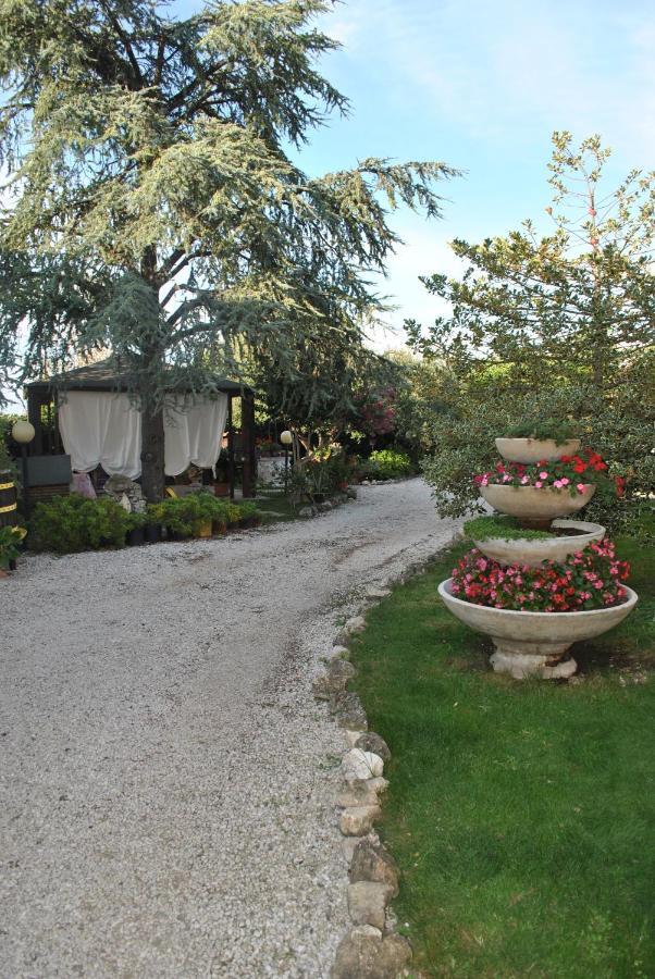 Villino Alle Terme فِتيربو المظهر الخارجي الصورة